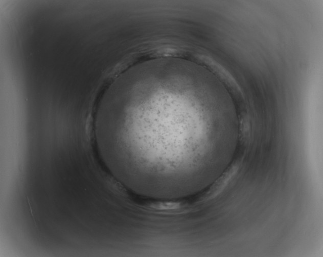 X0000102780361200808181154