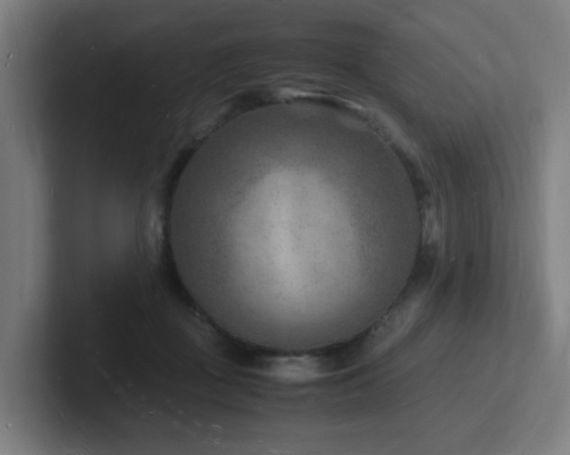 X0000102780363200808181154