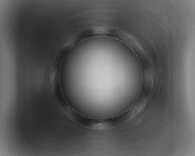 X0000102780364200808181154