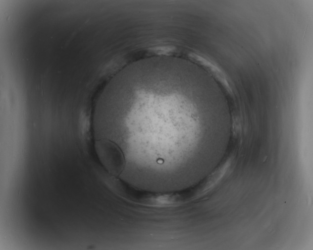 X0000102780365200808181154