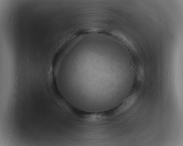 X0000102780366200808181154