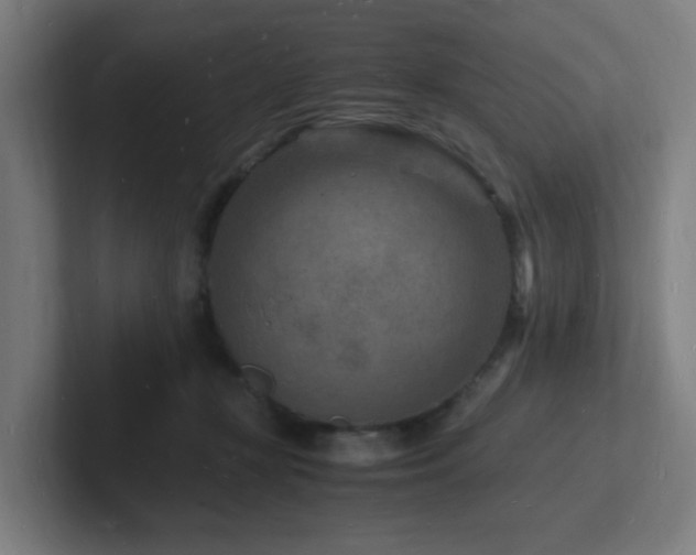 X0000102780367200808181154