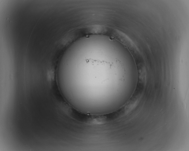 X0000102780368200808181155