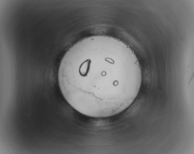 X0000102780370200808181155