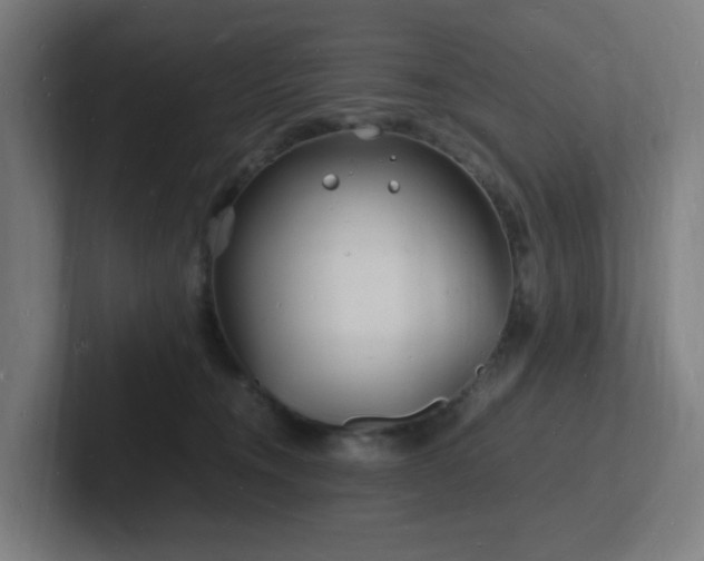 X0000102780372200808181155