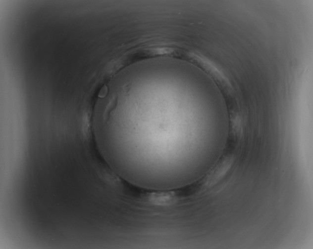 X0000102780373200808181155