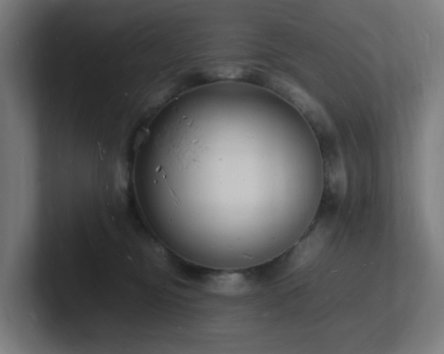 X0000102780374200808181155