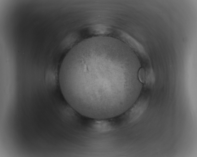 X0000102780376200808181155