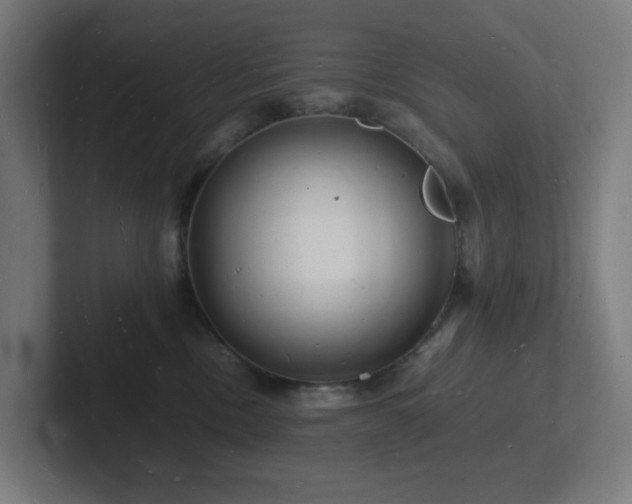 X0000102780378200808181155