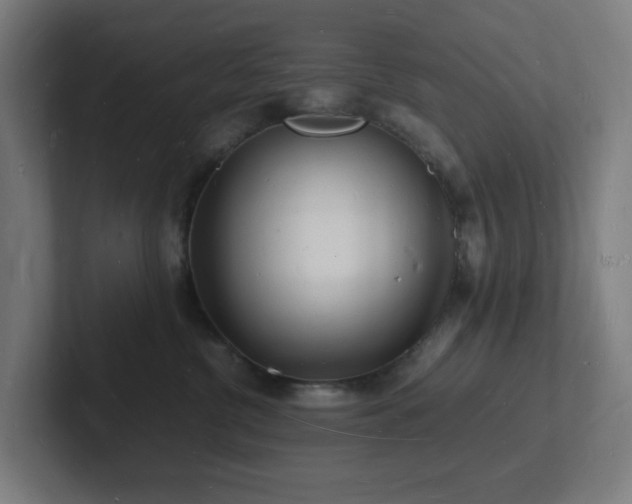 X0000102780380200808181155