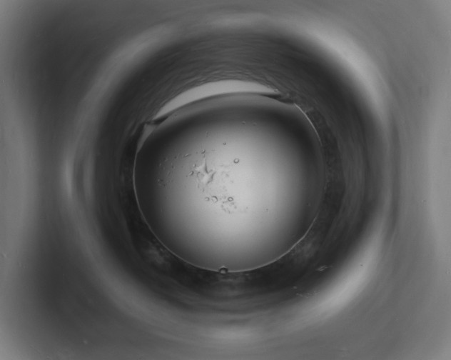 X0000102780382200808181155