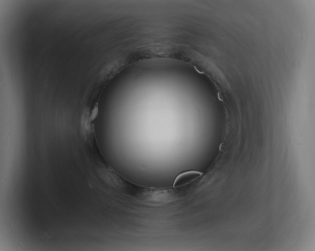 X0000102780384200808181155