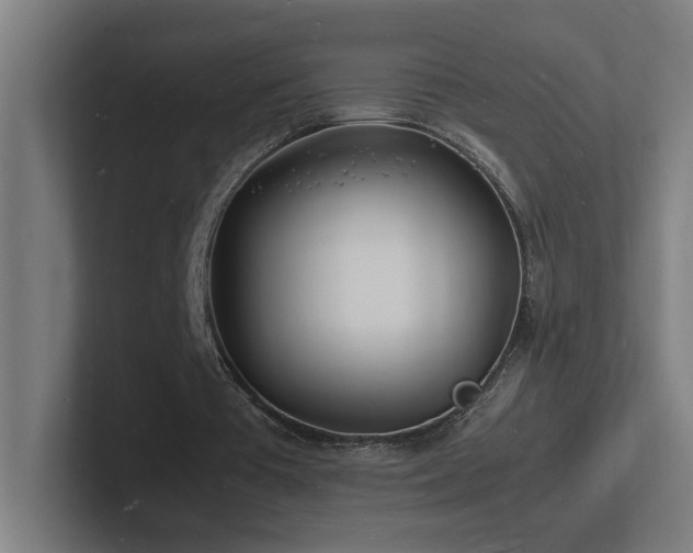 X0000102780385200808181154