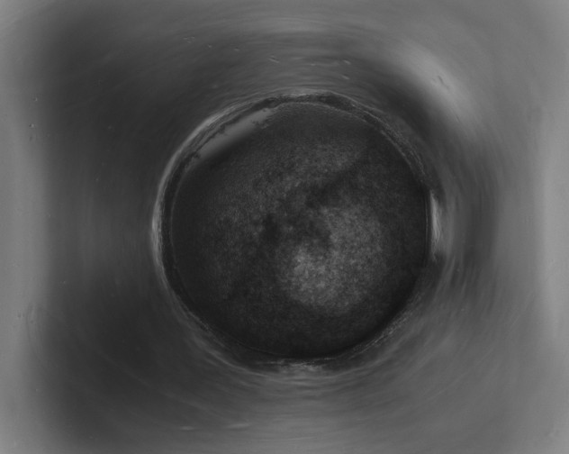 X0000102780387200808181154