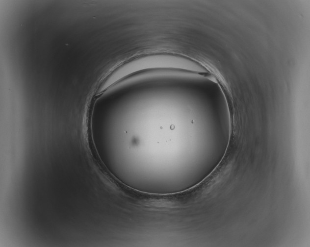 X0000102780389200808181154