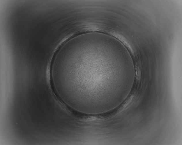 X0000102780390200808181154