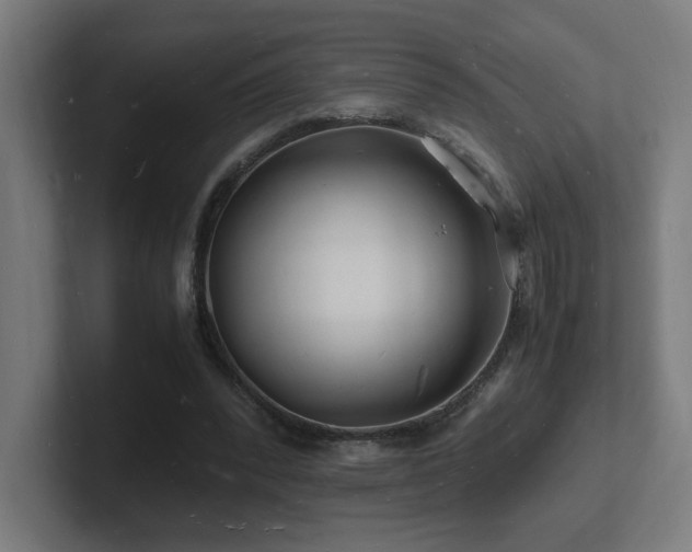 X0000102780392200808181154