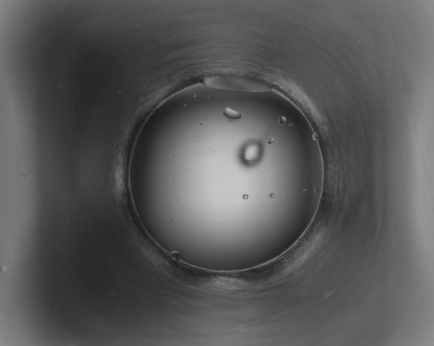 X0000102780393200808181154