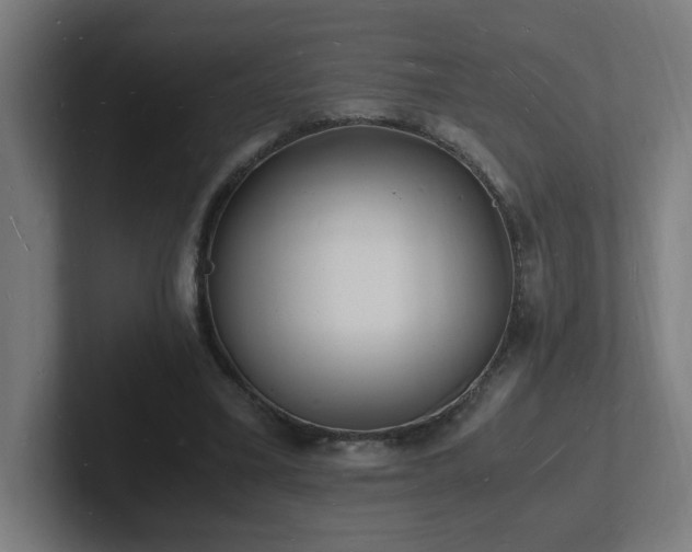 X0000102780395200808181154