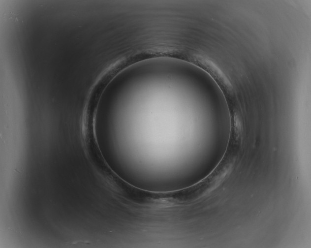 X0000102780396200808181154