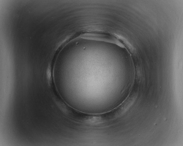 X0000102780398200808181154