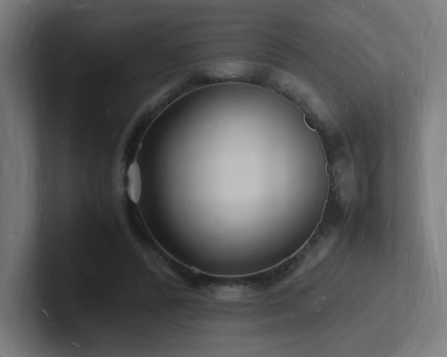 X0000102780400200808181154