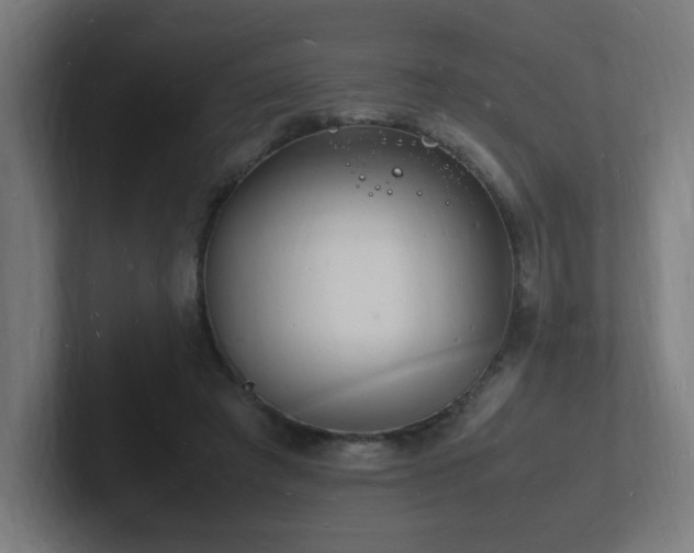 X0000102780401200808181154