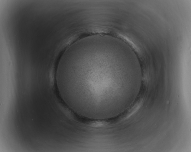 X0000102780402200808181154