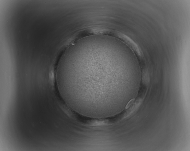 X0000102780405200808181154