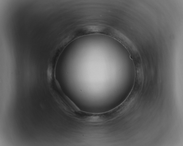 X0000102780406200808181154