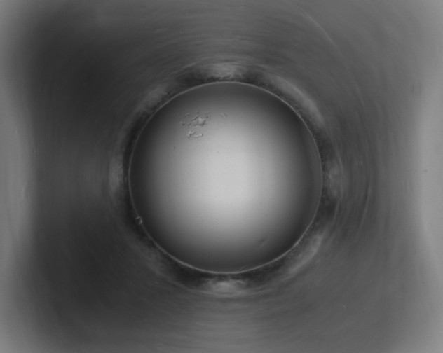 X0000102780407200808181154