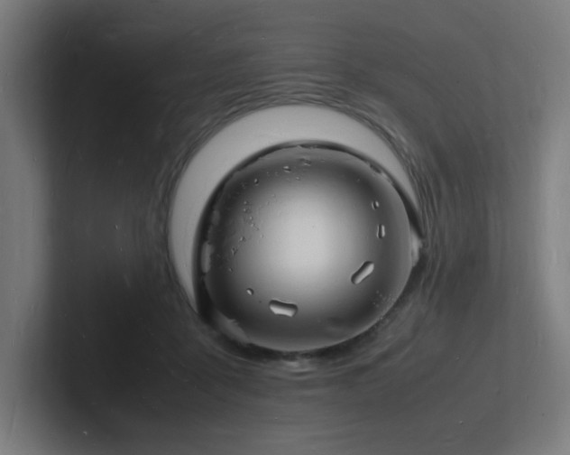 X0000102780411200808181154