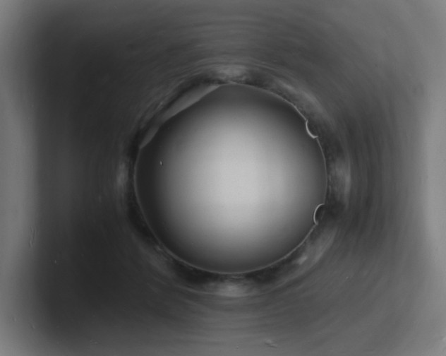 X0000102780412200808181154