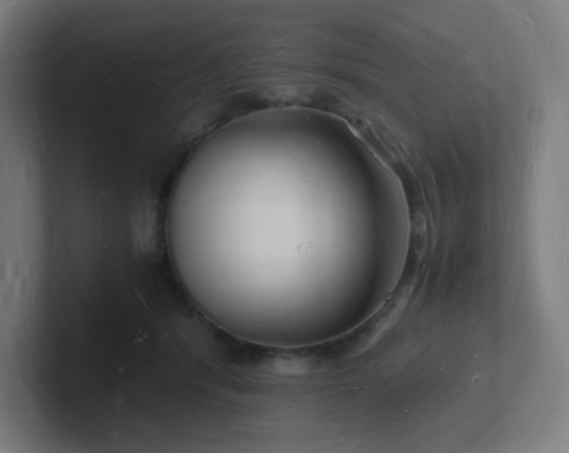 X0000102780416200808181154