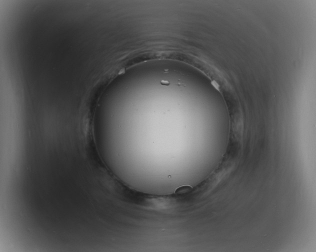 X0000102780417200808181154