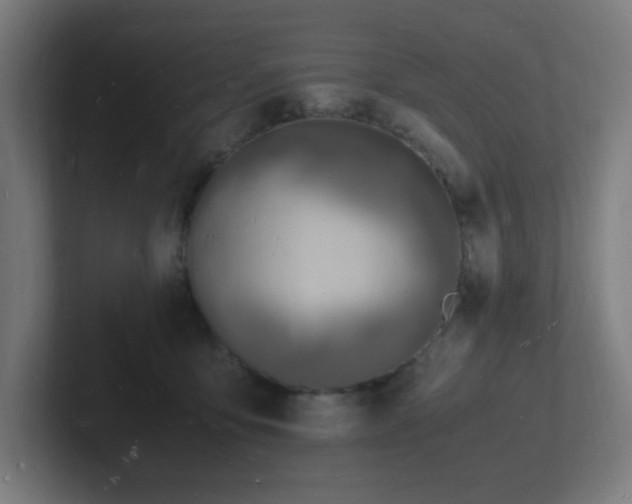 X0000102780419200808181154