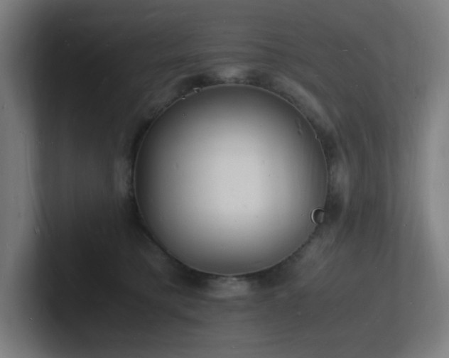 X0000102780421200808181154