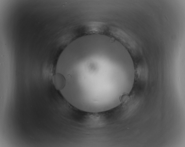 X0000102780423200808181154