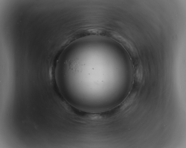 X0000102780424200808181154