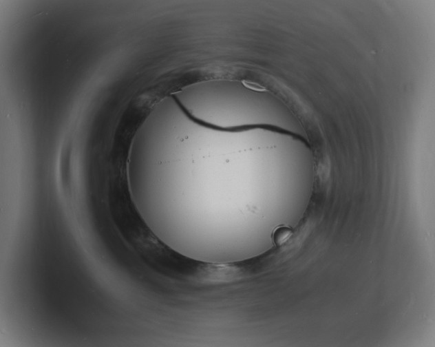 X0000102780429200808181153