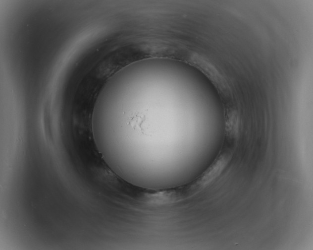 X0000102780430200808181153