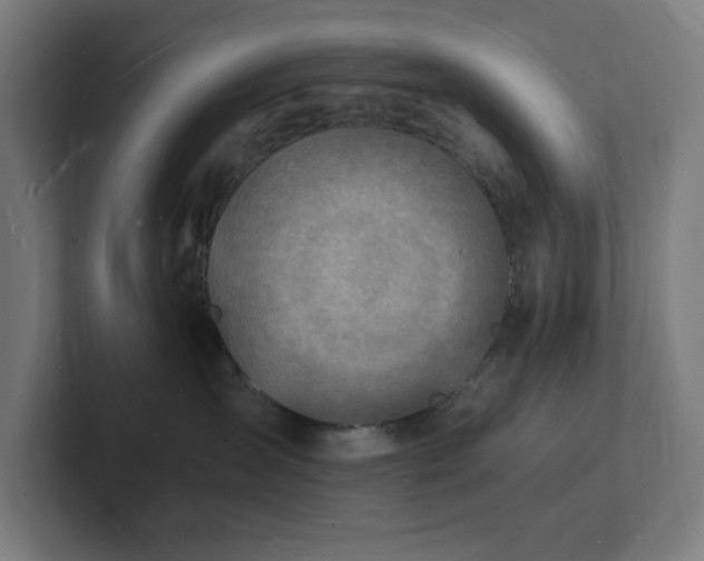 X0000102780431200808181153