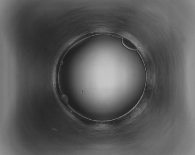 X0000102780437200808181153