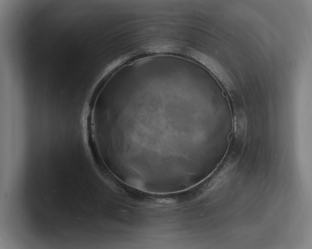 X0000102780438200808181153