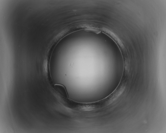 X0000102780445200808181153