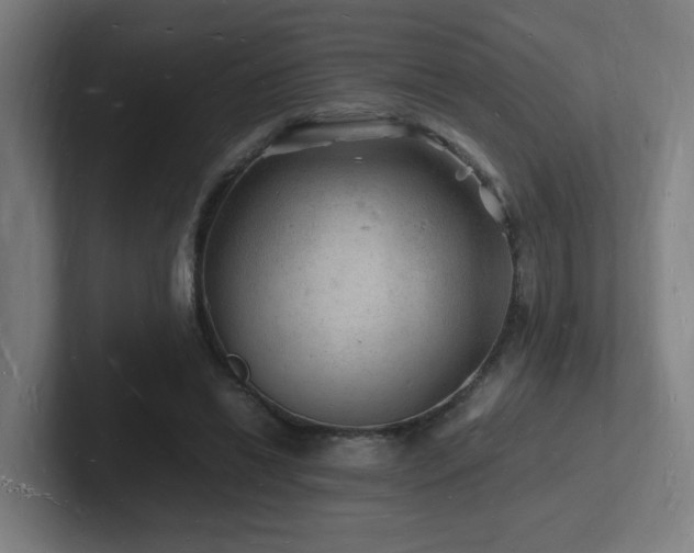 X0000102780446200808181153