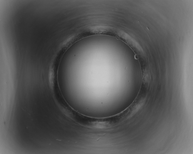 X0000102780448200808181153