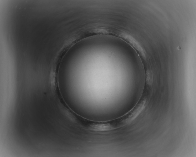 X0000102780449200808181153