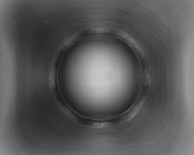 X0000102780450200808181153