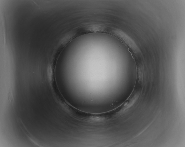 X0000102780453200808181153